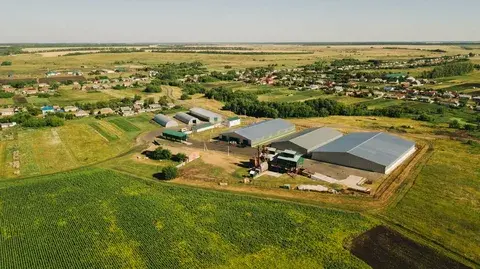 Лучшие совхозы России по урожайности и качеству продукции