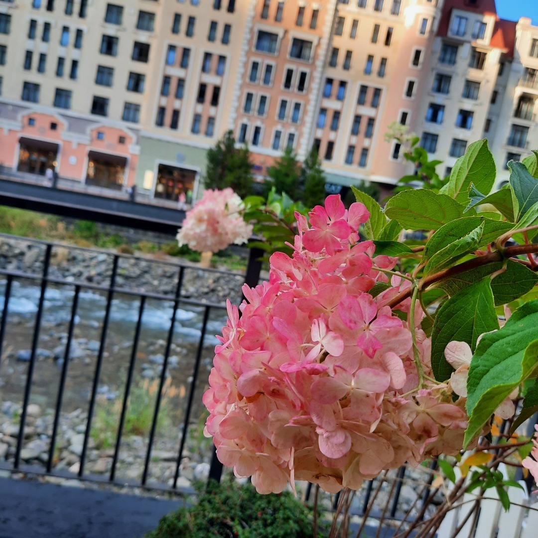 Мой отдых на Красной поляне. Отпуск в сентябре 2023. Любимые фотографии.