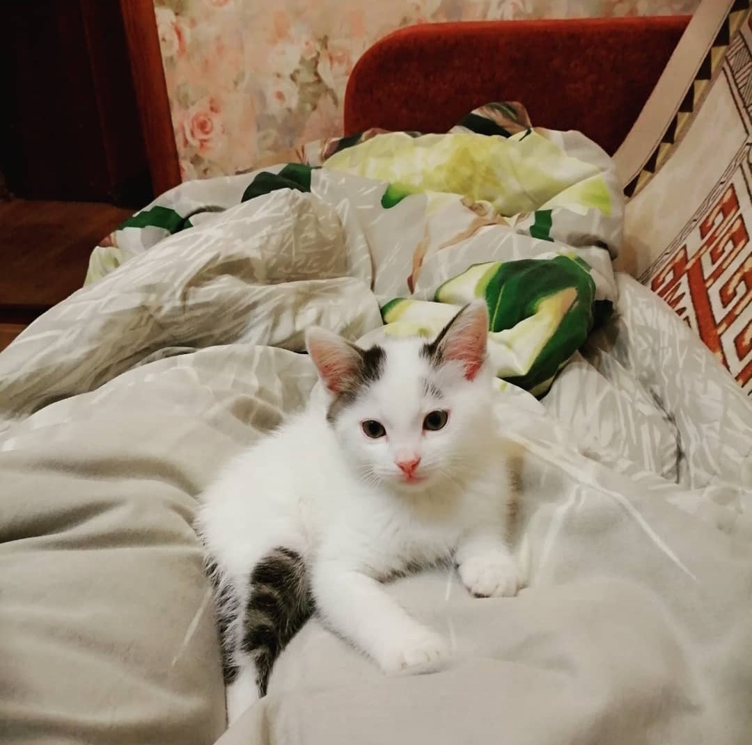 Я - автор. Или моя статья-знакомство.