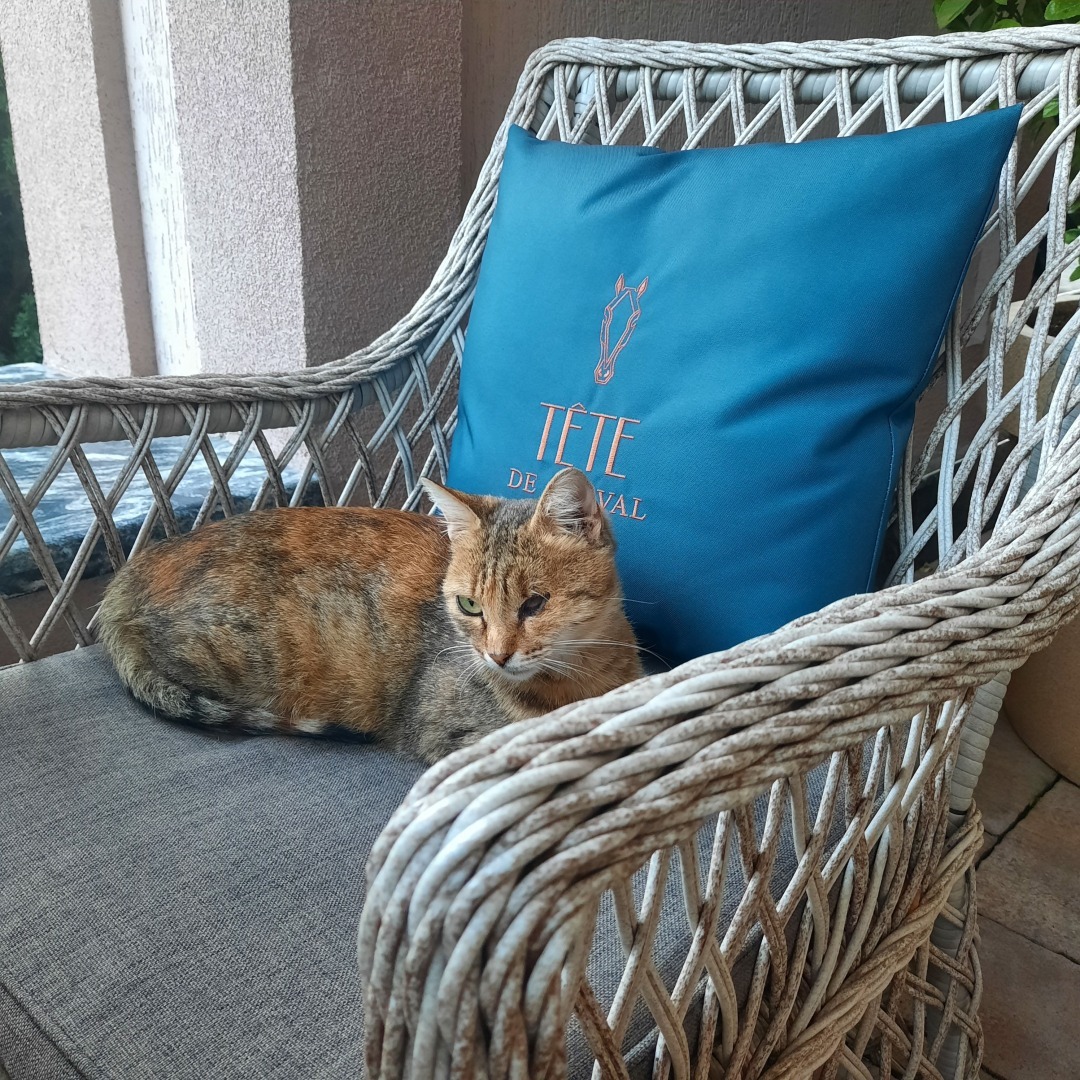 Мой отдых на Красной поляне. Отпуск в сентябре 2023. Любимые фотографии.