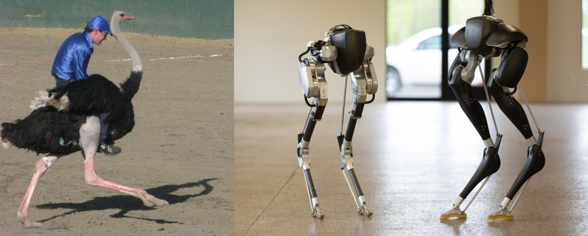 «Сбер» приступил к созданию антропоморфных роботов