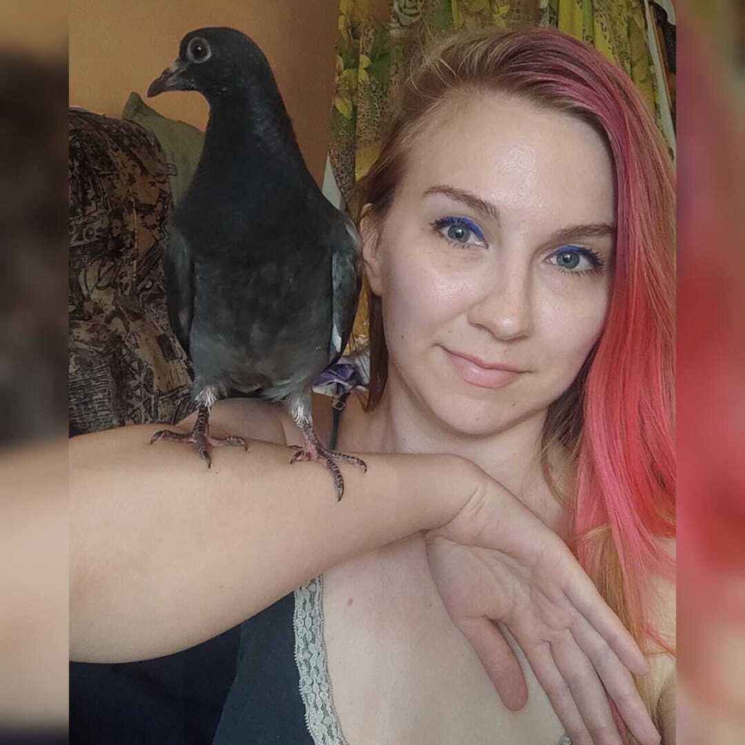 Мы подобрали птенца голубя. Наш Петюня вырос и улетел. Как мы спасали голубей