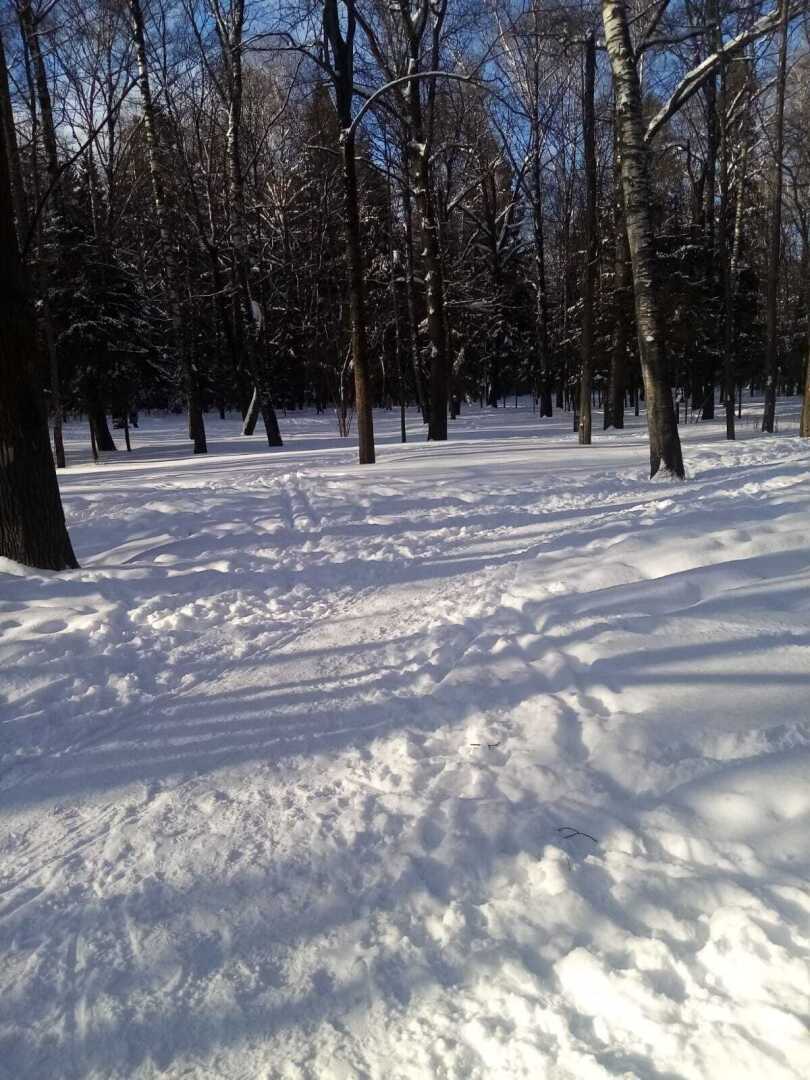 «Мороз и солнце - день чудесный...» Но весна идёт, и из-под снега начинают появляться разные «прелести»