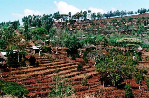 Популярный кофе