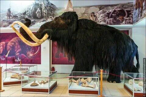 Мой любимый Воронежский край.