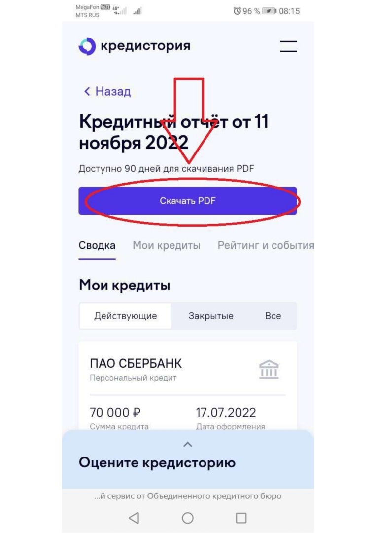 «Долги по кредитам»: платить или не платить? Как вы думаете, что выбрала я?