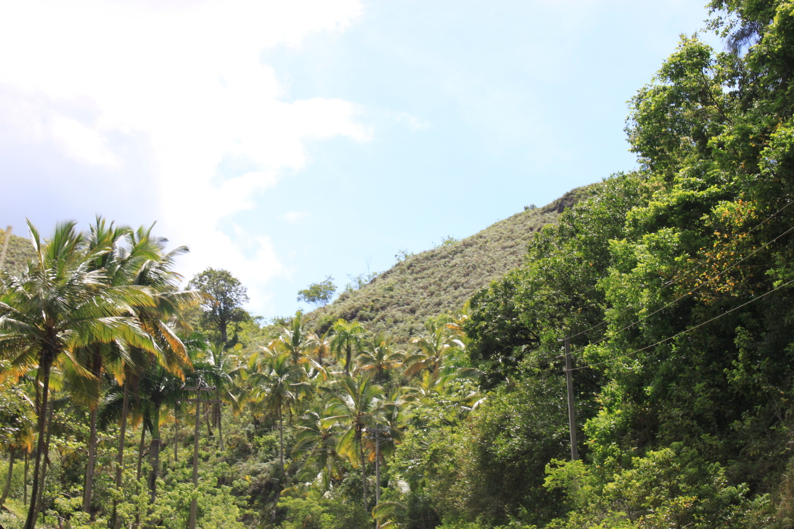 Мое путешествие в Доминиканский рай: перелет на кукурузнике, шикарный водопад, катание на лошадях, местный колорит. Фотообзор. Часть 2