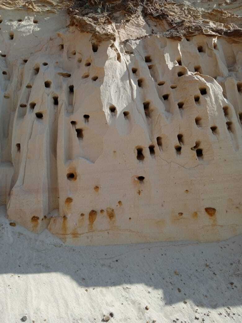 Мои родные красивые и необычные места: ласточкины гнезда в песчаном карьере, интересная экскурсия и красивые фотографии.