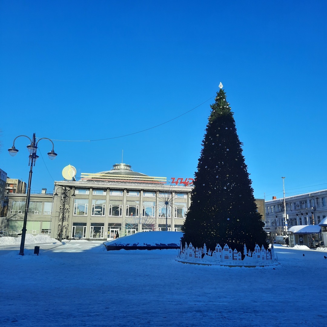 Зима в картинках. Обзор моего января и февраля.