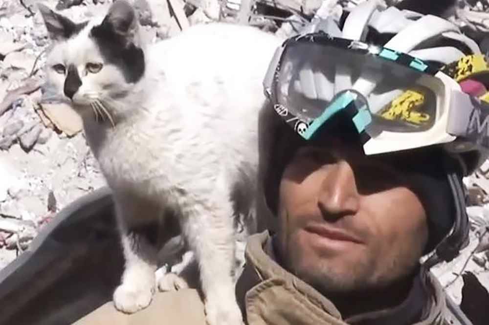 В Турции пожарный спас Щебень