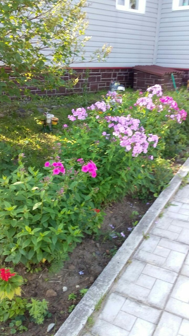 Личный опыт пользования жилым домом в сельской местности: размещение колодца на своем земельном участке, короткие разъяснения юриста