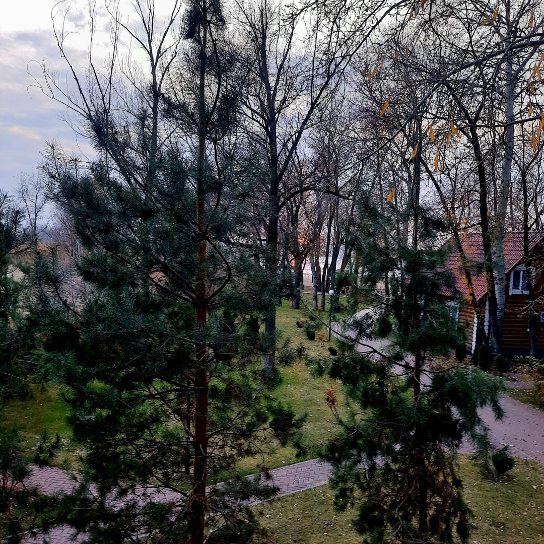 Любимая Малиновка. Отдых в октябре, ноябре, мае и летом. Мои фотографии.