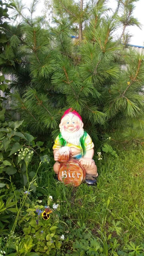 Что можно вырастить на своем земельном участке: красота и польза. Мой личный опыт.