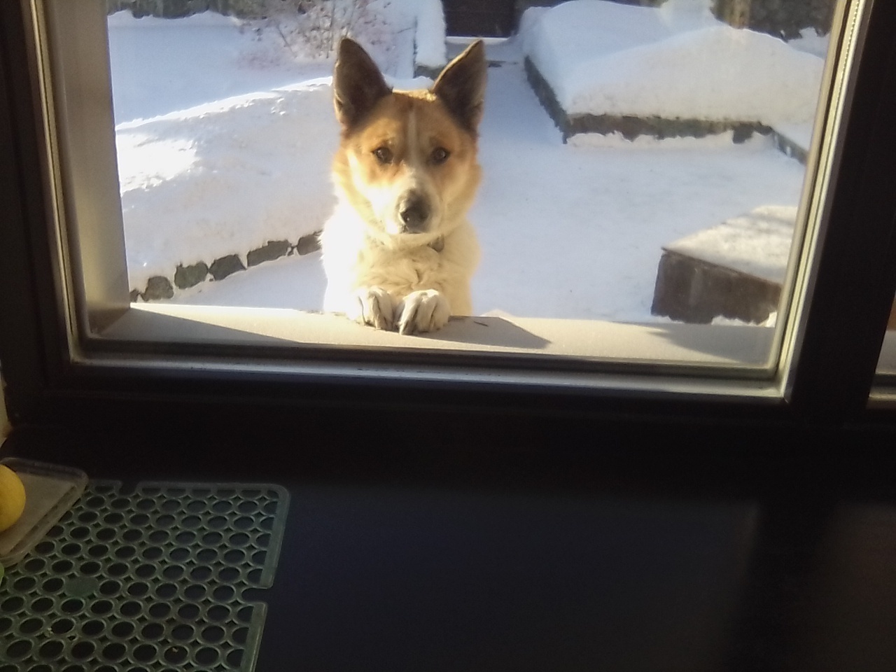 Из жизни геолога. «Это мальчик, мы с соседкой проверили» - уверяла жена