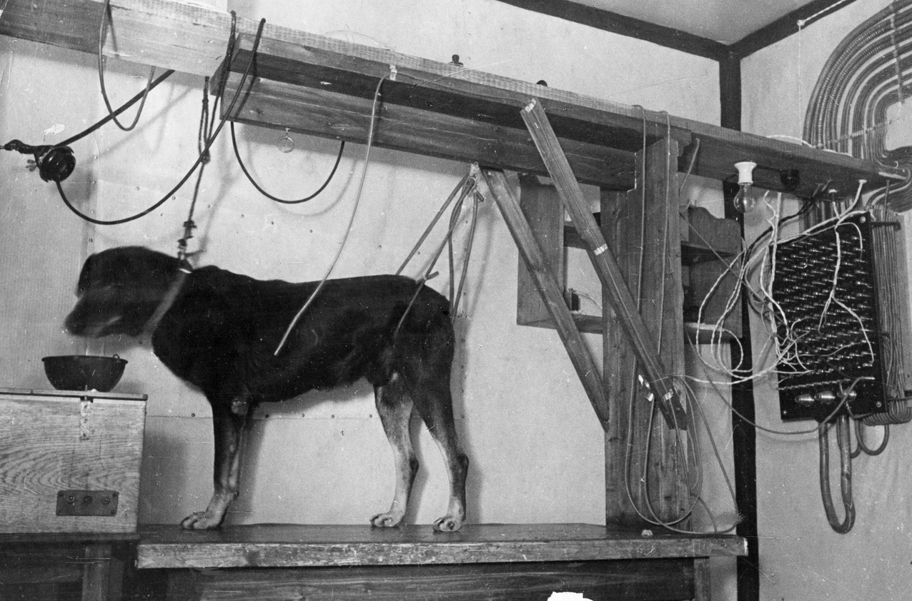 Почему я горжусь своей трезвостью?