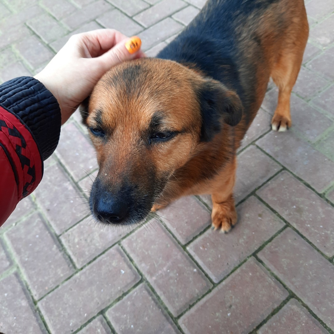 Любимая Малиновка. Отдых в октябре, ноябре, мае и летом. Мои фотографии.