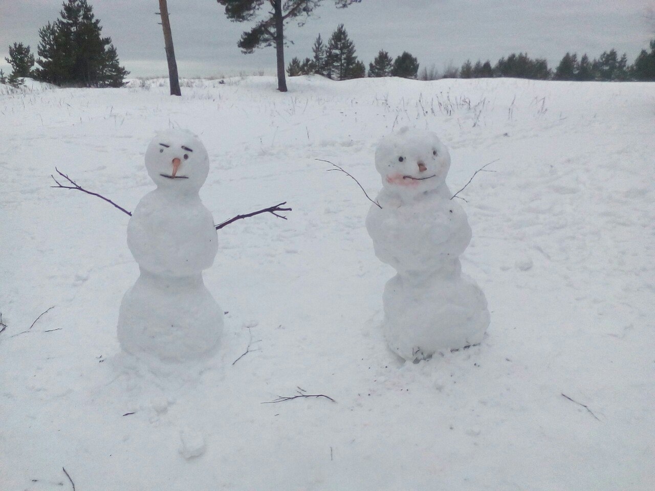 Мой отдых выходного дня: Ягринский бор и окрестности, масса приятных впечатлений. Личный опыт и фото