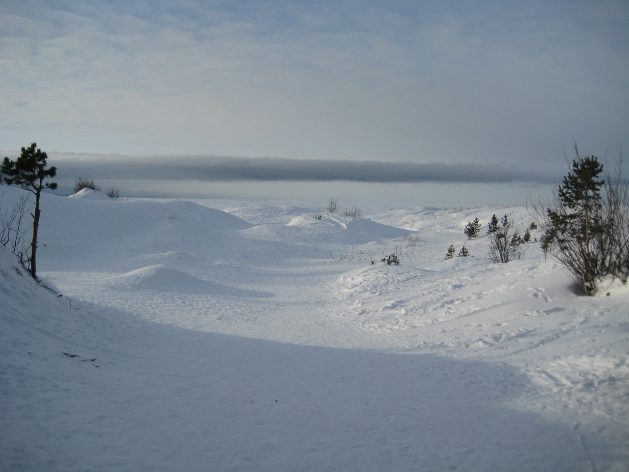 Мой отдых выходного дня: Ягринский бор и окрестности, масса приятных впечатлений. Личный опыт и фото