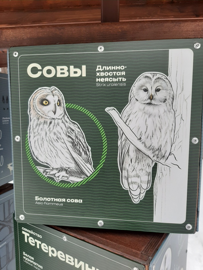 Мой отдых выходного дня: Ягринский бор и окрестности, масса приятных впечатлений. Личный опыт и фото