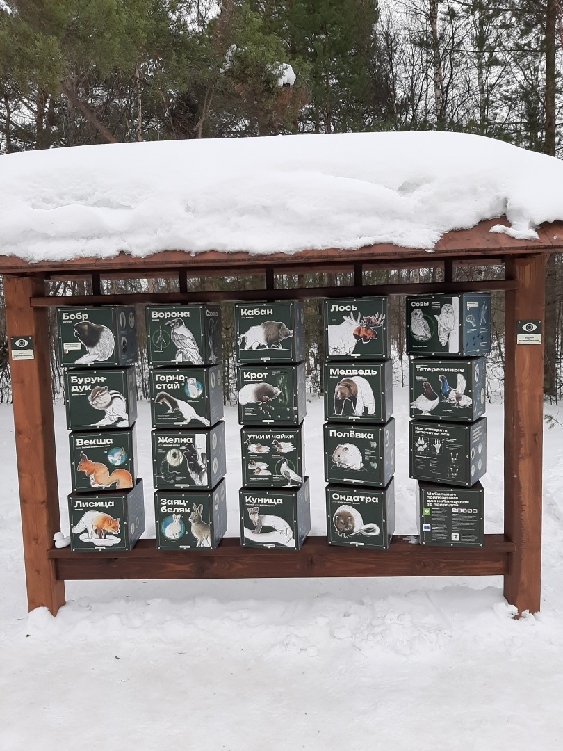 Мой отдых выходного дня: Ягринский бор и окрестности, масса приятных впечатлений. Личный опыт и фото
