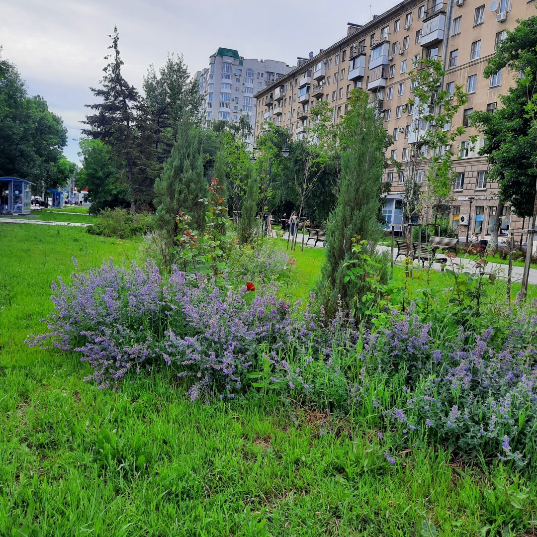 История одной фотографии. Я и Олег Табаков. В далеком 2004 году