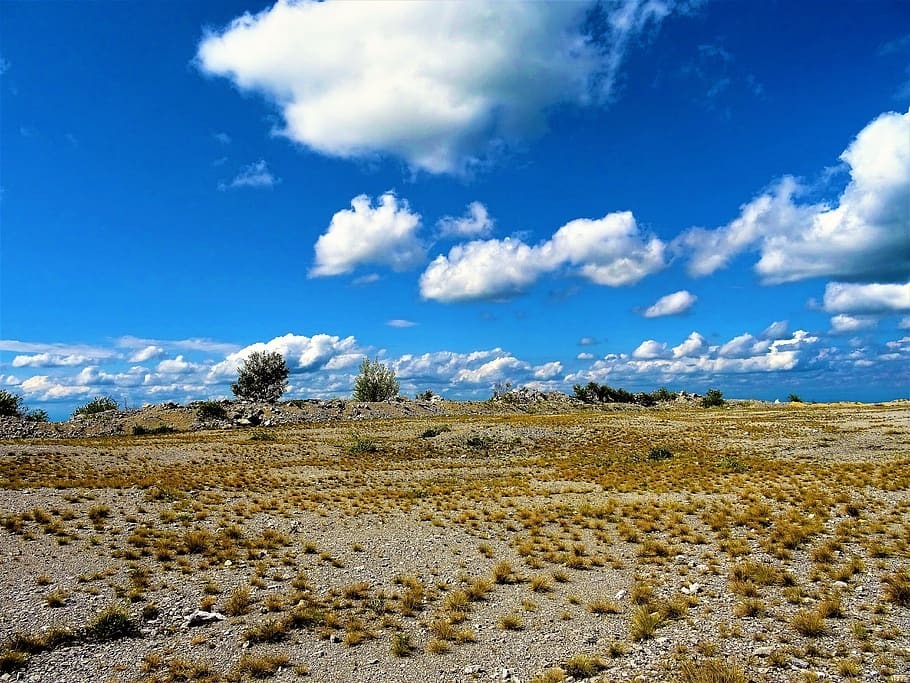 Я стал свидетелем гибели мира.