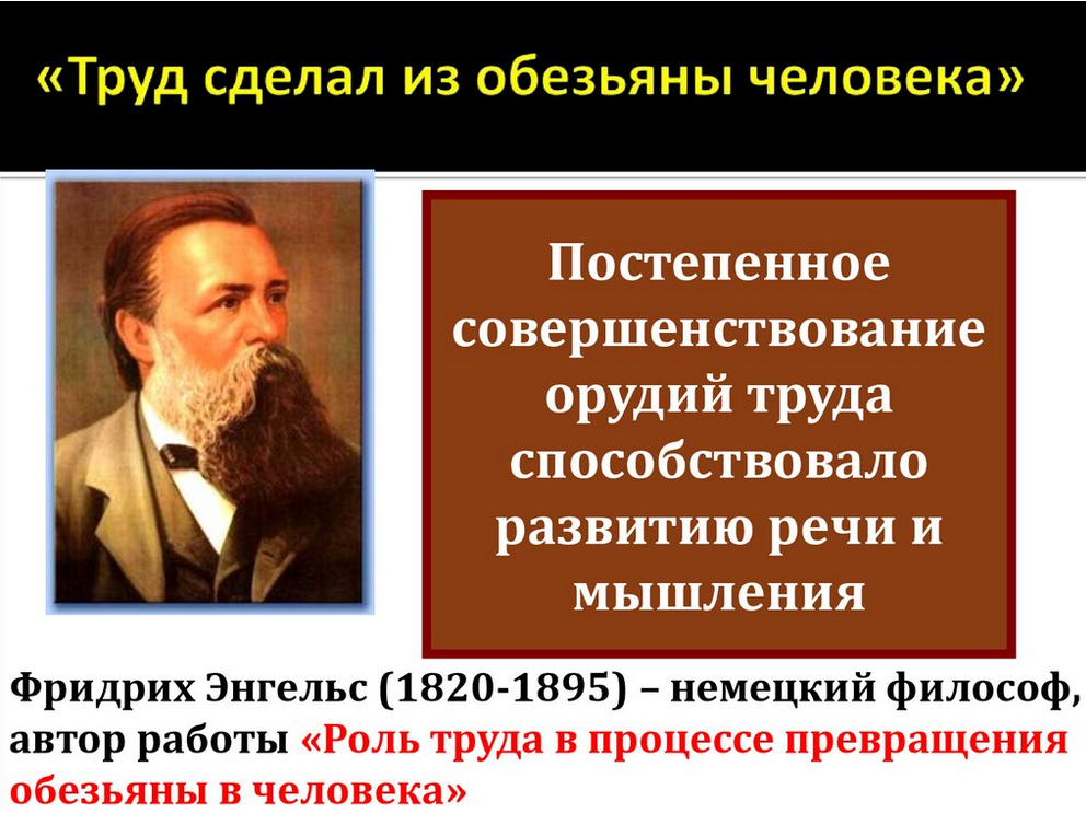 Человек кто его создал. Труд создал человека Энгельс. Труд создал из обезьяны человека. Труд сделал из обезьяны человека кто сказал. Почему труд сделал из обезьяны человека.