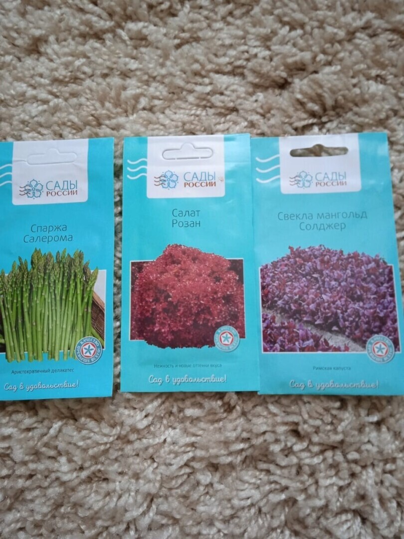 Долгожданная посылка с семенами: что интересного я получила, от ялтинского лука до вьетнамской экзотики