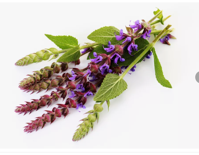 Как снять зубную боль народными средствами.