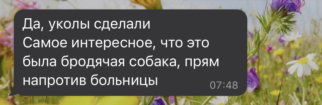 Течка у собаки, а проблема у человека. Какова ответственность за укус собаки? Можно ли взыскать компенсацию морального вреда за лай собаки?