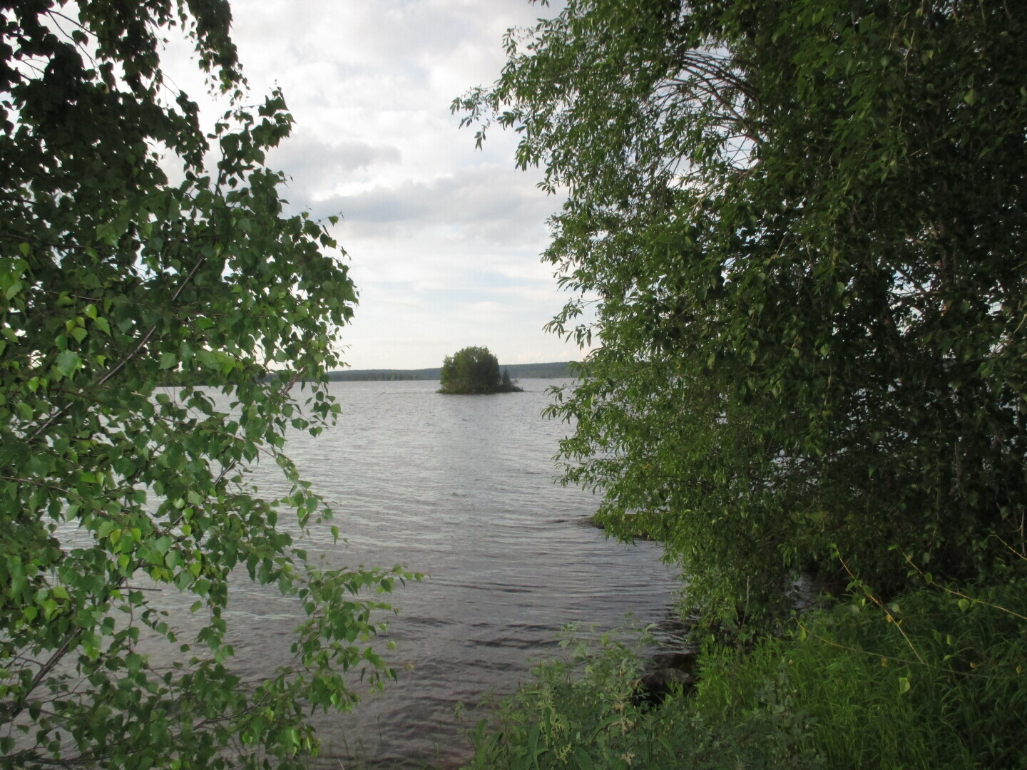 Окрестности нашей дачи (Выгозеро)