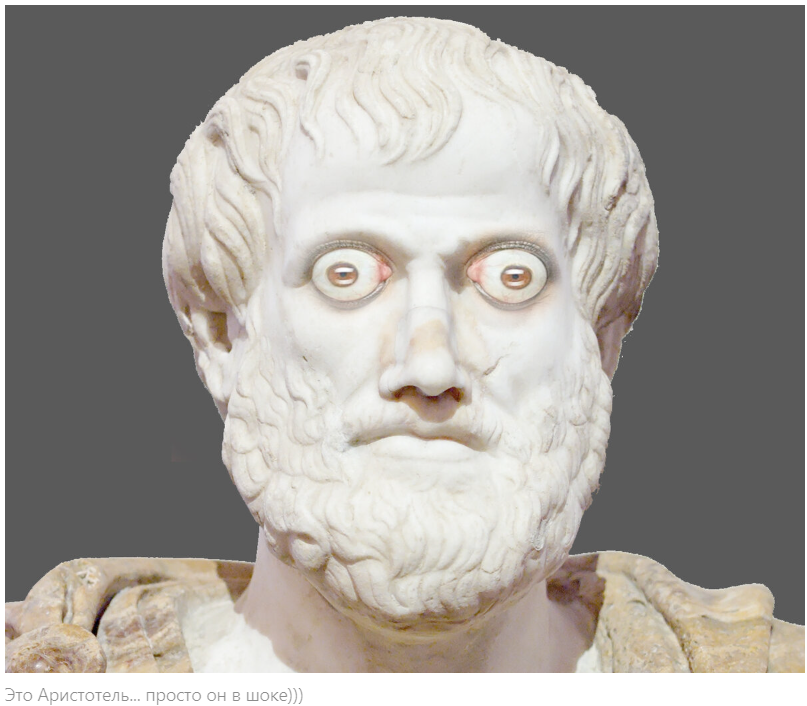 Бараны не любят логику: почему логика не действует на сторонников Повестки?