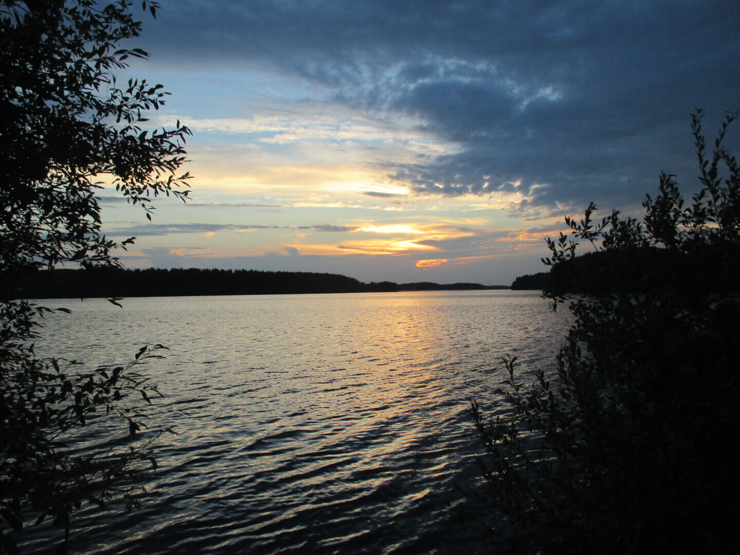 Окрестности нашей дачи (Выгозеро)