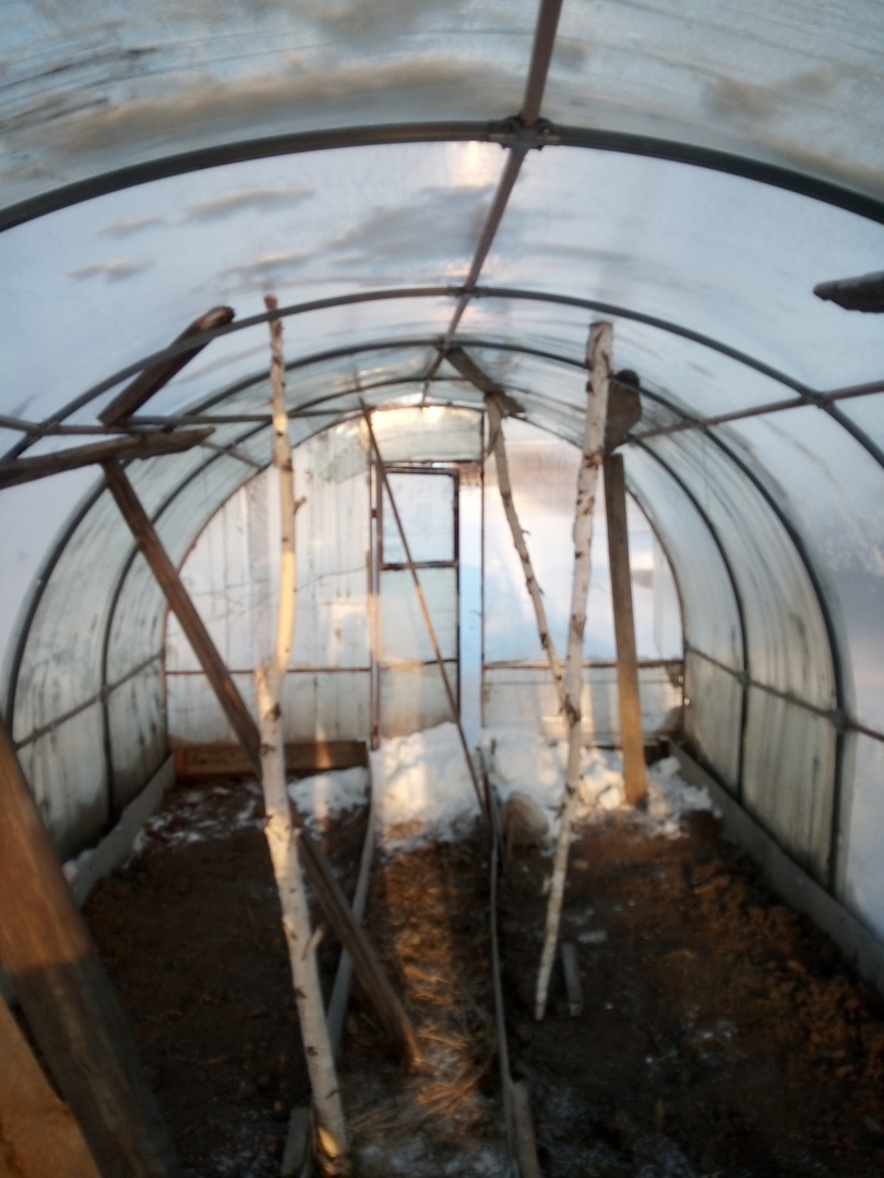 «Дача – теплица – снег скинуть» – мой привычно-вынужденный зимний ежемесячный маршрут