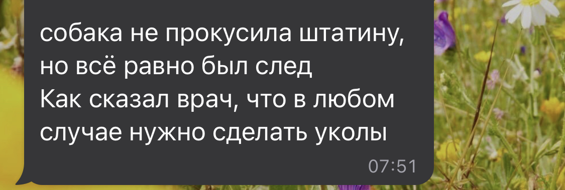 Течка у собаки, а проблема у человека. Какова ответственность за укус собаки? Можно ли взыскать компенсацию морального вреда за лай собаки?