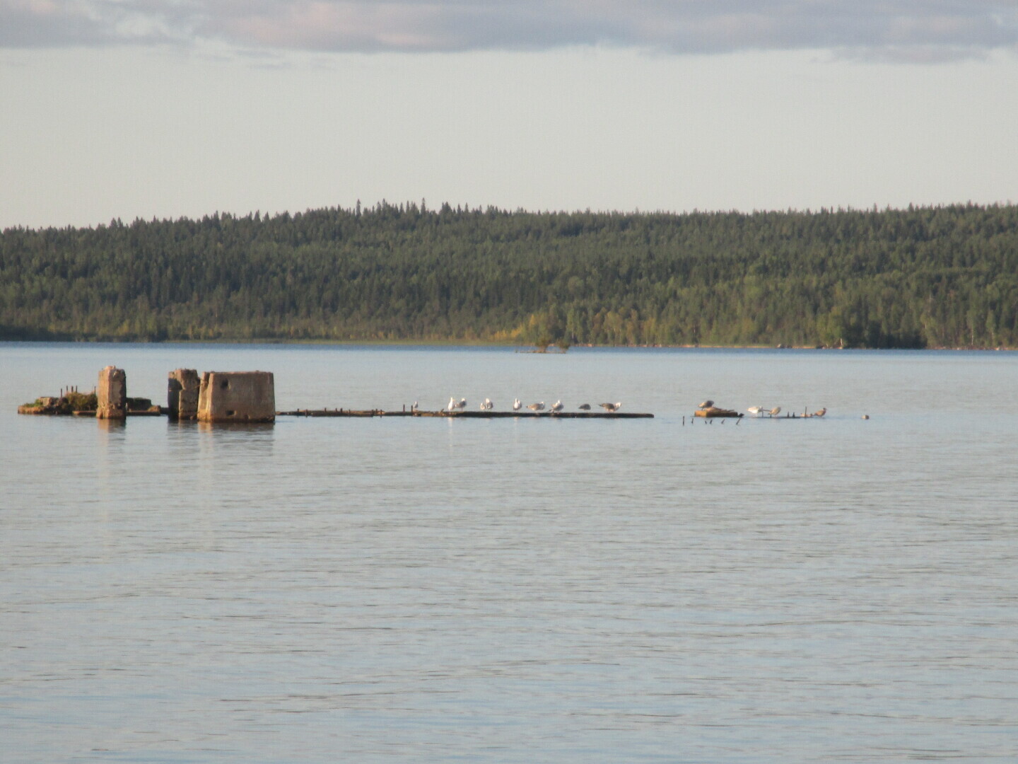 Окрестности нашей дачи (Выгозеро)