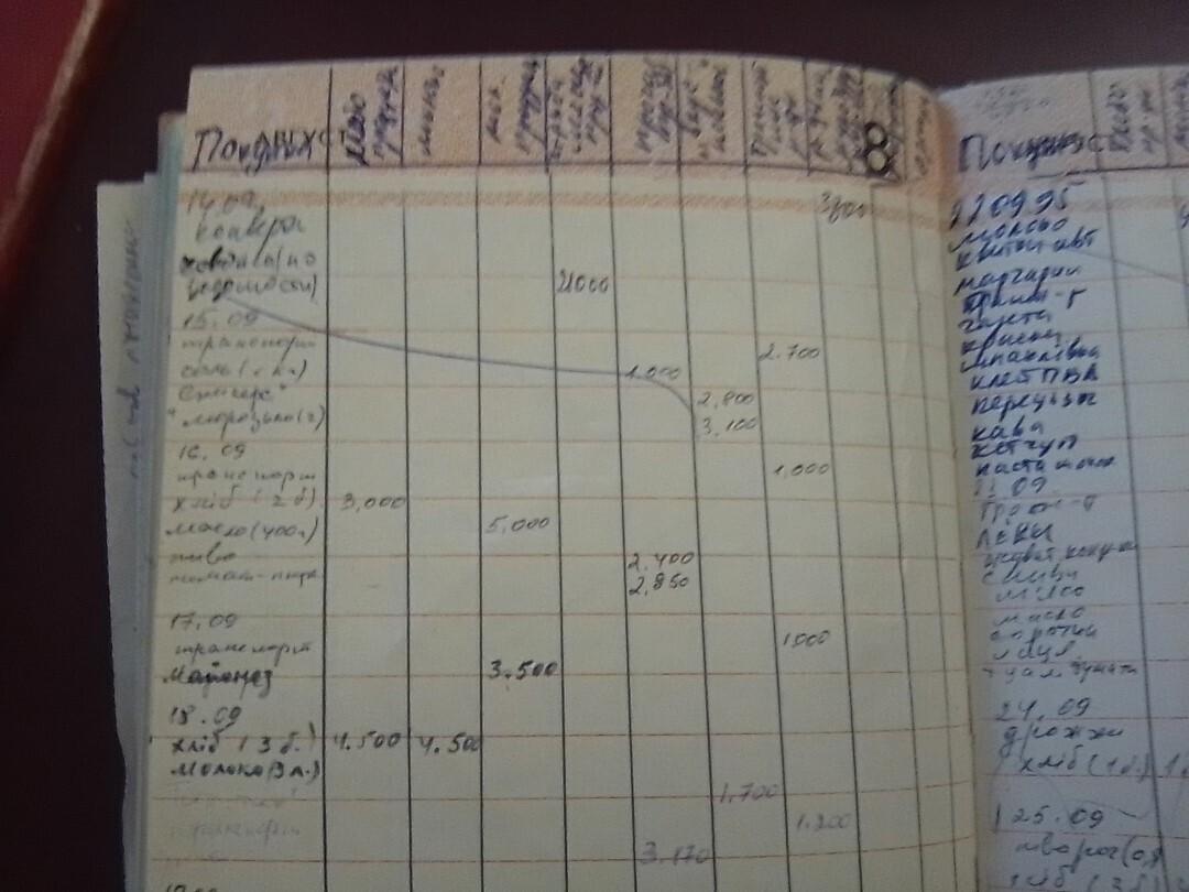 Рубль пишем, три в уме. Советы из жизни о том, как исполнить свою мечту и не экономить