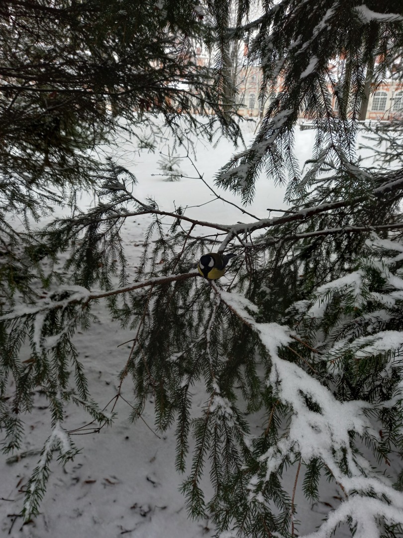 У природы нет плохой погоды, но у каждого человека есть любимое и нелюбимое время года. А какое время года у вас самое любимое?