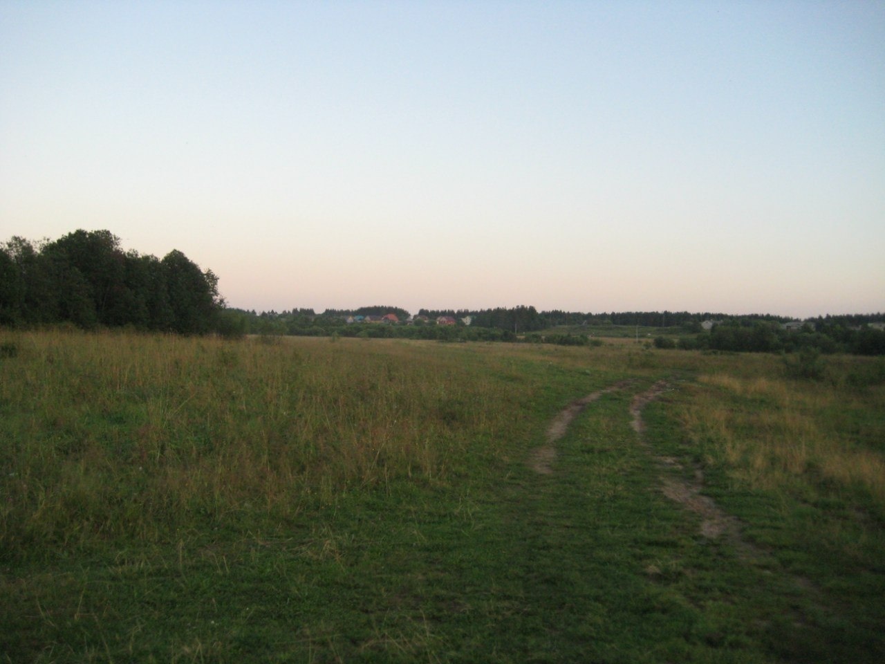 Что можно вырастить на своем земельном участке: красота и польза. Мой личный опыт.