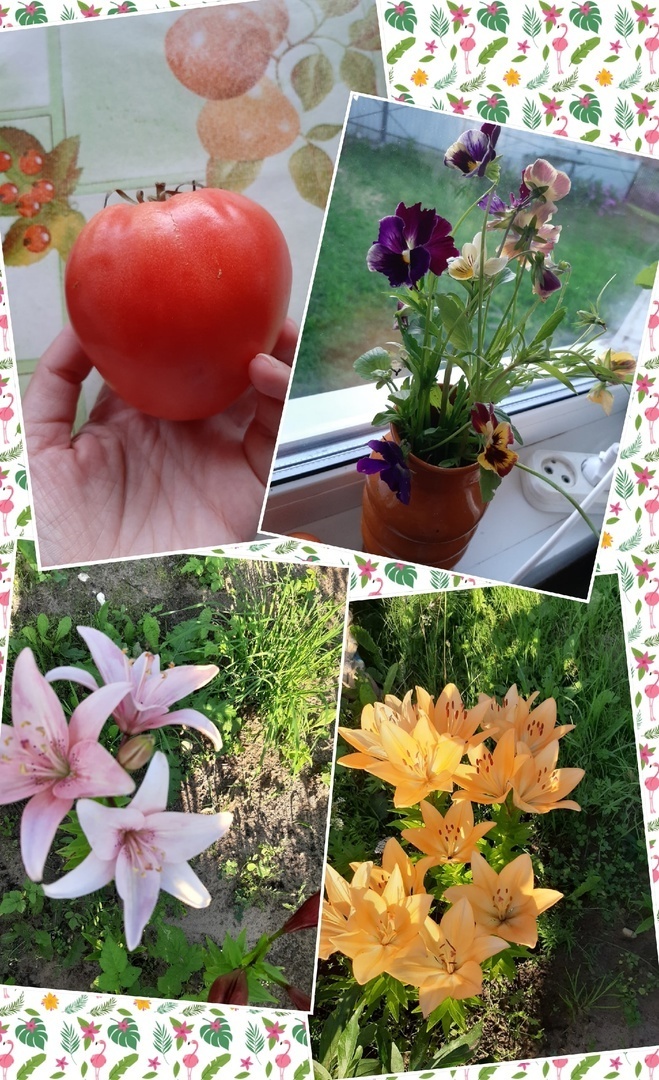 Мой летний отдых в деревне: лучшие моменты, воспоминания о позитивном и прекрасном