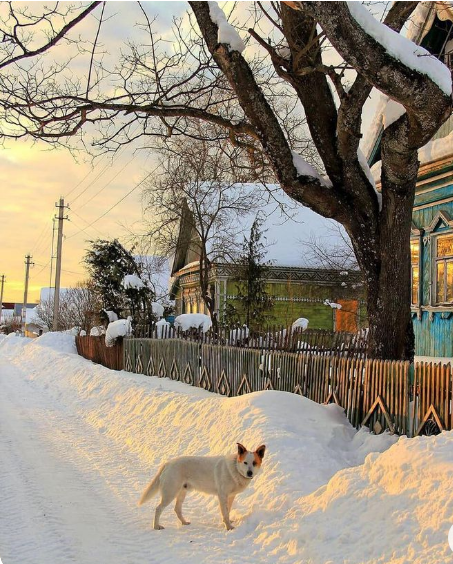 Жизнь в русской деревне