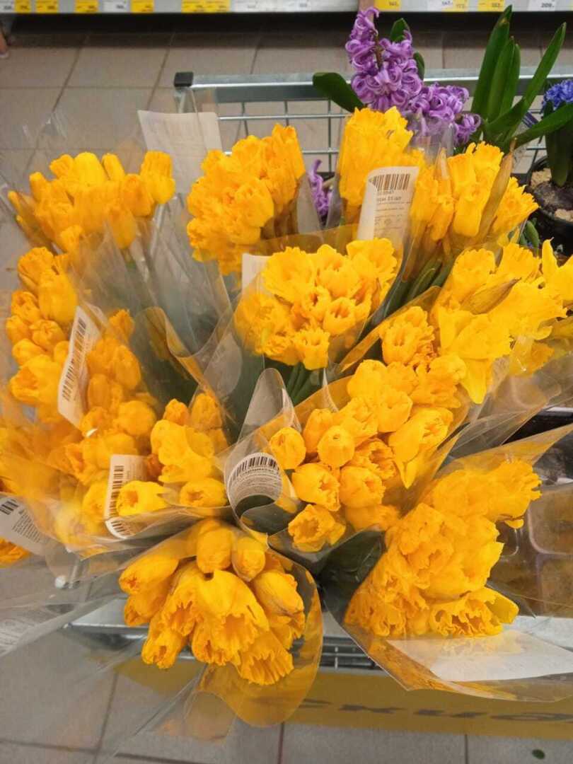 Какова цена букета на 8 Марта в 2024 году: обзор цен в торговых сетях Магнит и Пятерочка, что и по какой цене предлагают к празднику