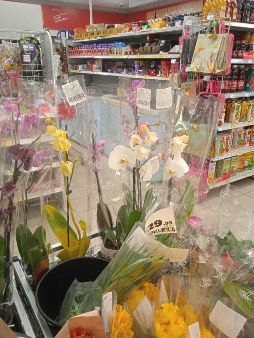 Какова цена букета на 8 Марта в 2024 году: обзор цен в торговых сетях Магнит и Пятерочка, что и по какой цене предлагают к празднику