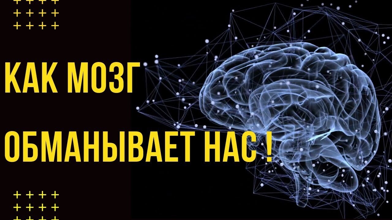 Бутылка которая обманывает мозг. Мозг нас обманывает. Как наш мозг нас обманывает. Мозг не обманешь.