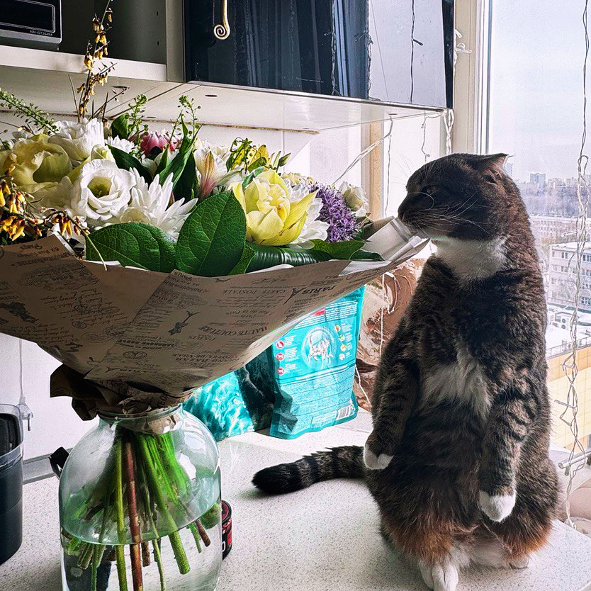 О правах женщин в Международный женский день и мой ответ РПЦ на высказывание почему женский день лучше праздновать не 8 Марта!