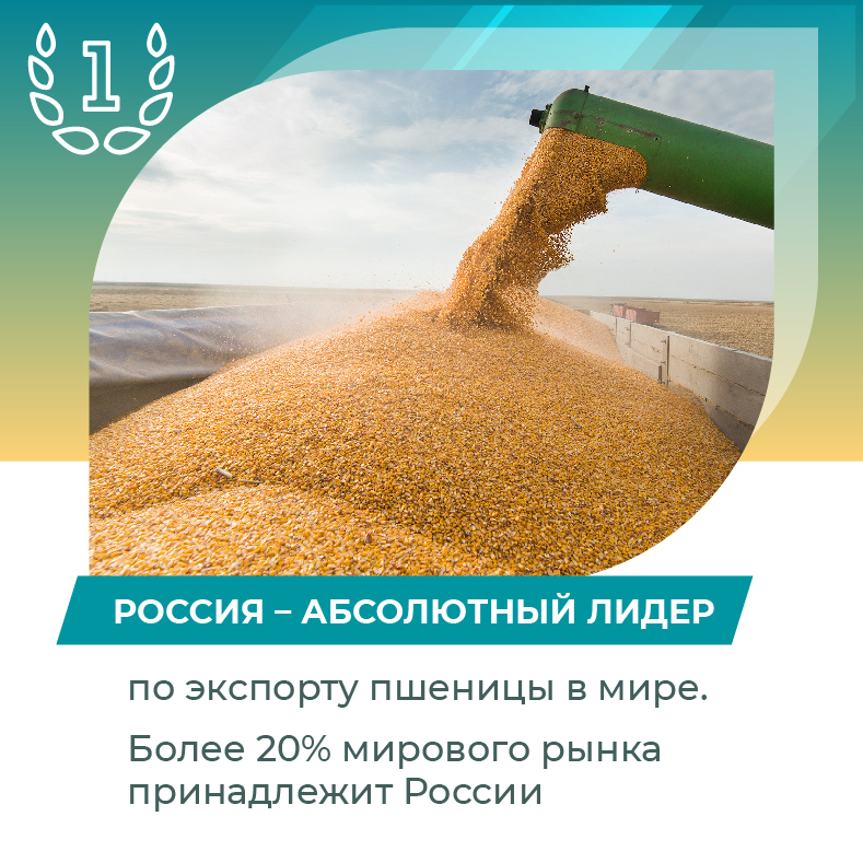 Достижения Путина за время правления: что сделал президент для страны — факты кратко. Ну или просто: что в России хорошего?