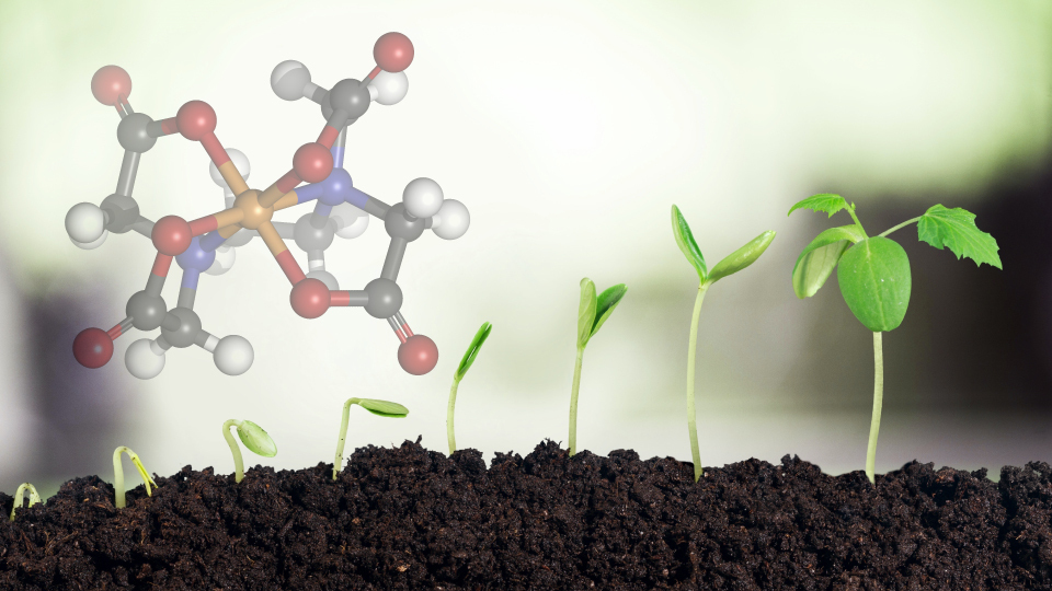 Достижения Путина за время правления: что сделал президент для страны — факты кратко. Ну или просто: что в России хорошего?