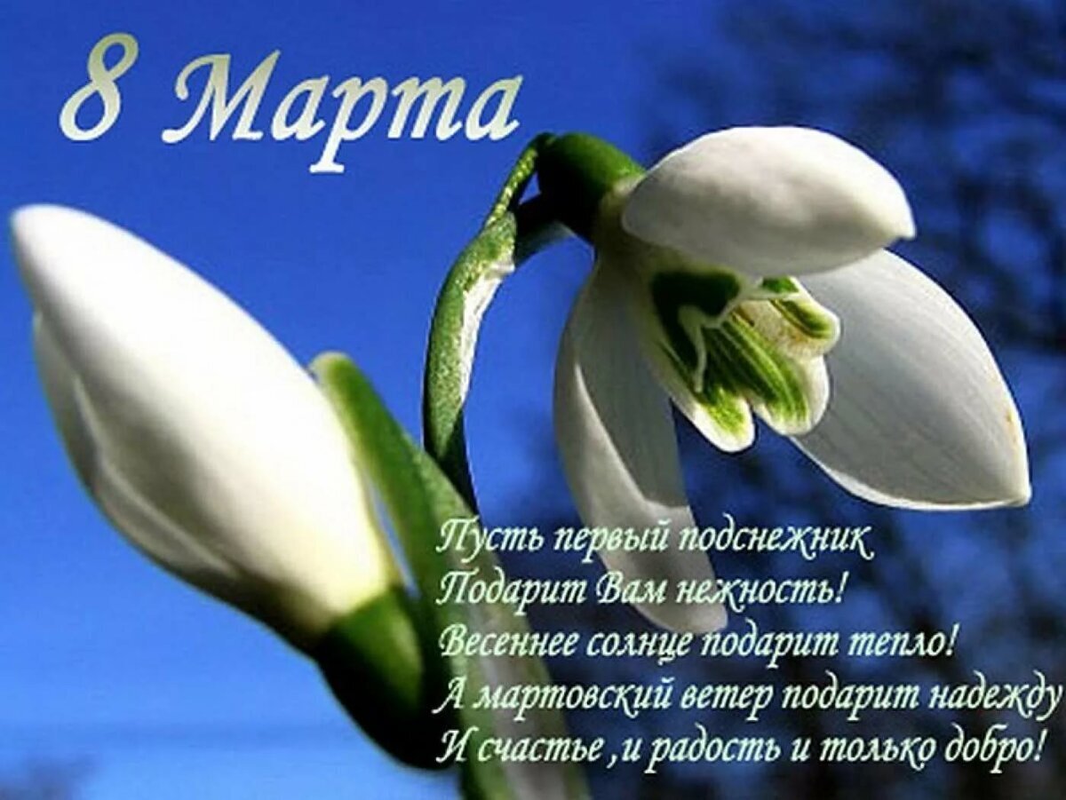 St✭r ЫЙ⤵️. Вопрос к мужчинам про 8 марта. Почему я не люблю этот праздник.