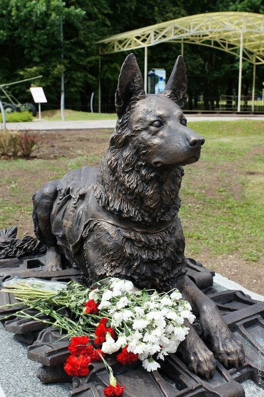 На Поклонной горе, в Москве, поставлен памятник, фронтовой собаке.