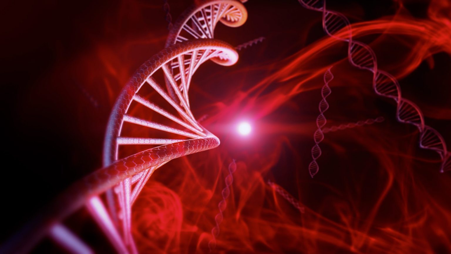 Болезнь и боль — обязательные курсы. часть 1